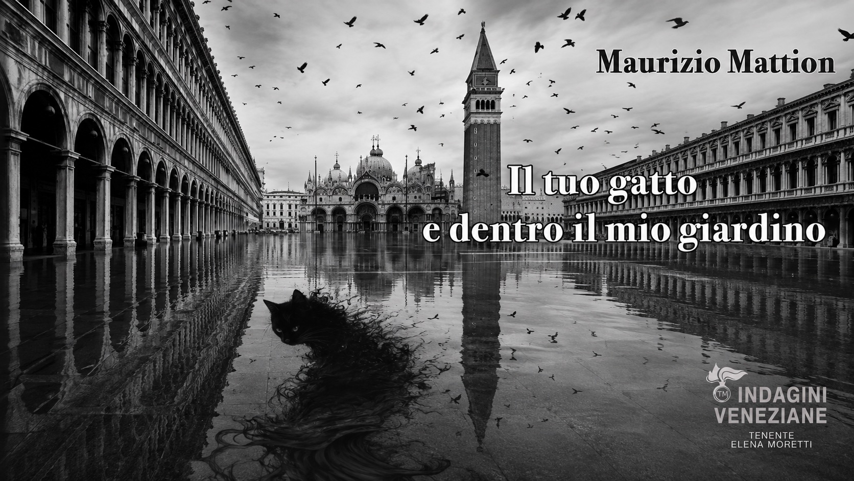 Il tuo gatto è dentro il mio giardino, pubblicazione su Ali di Carta